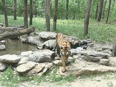 -北京野生动物园