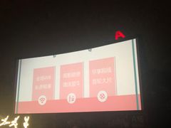 -枫花园汽车电影院(朝阳公园店)