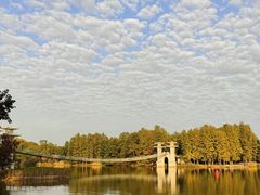 -东湖落雁景区