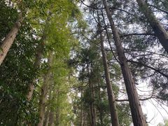 -前小桔亲子创意农场·草莓采摘·露营烧烤