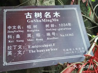 成都平乐古镇|游玩攻略  景区名：平乐古镇