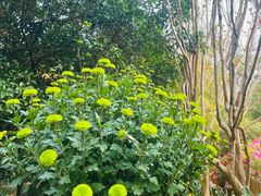 -杭州植物园