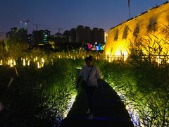 -西安汉城湖景区