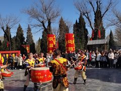 -大槐树寻根祭祖园