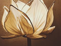 -有才叔北京时间涮肉(紫薇尚层店)