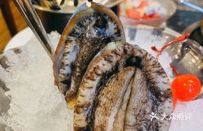 Whole 6-Head Abalone