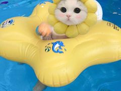 -马博士婴幼儿游泳馆(门头沟店)