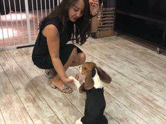 -百好乐宠物友好餐厅(朝外大街店)