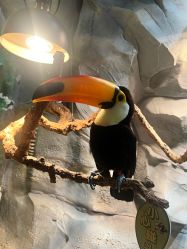 -Zoolung Zoolung动物主题公园(海信广场店)