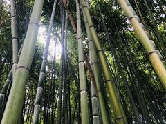 -苏州河梦清园环保主题公园