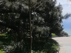 -青岛第二海水浴场