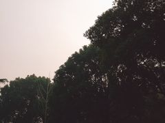 -玉山公园
