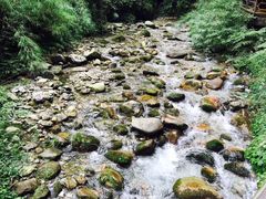 -西岭雪山大飞水景区