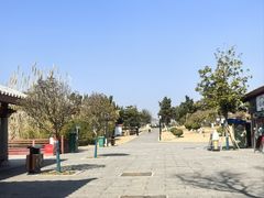 -洛阳古墓博物馆