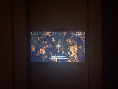 -唐宫足道·SPA·影院会馆(木渎店)