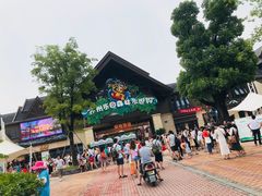 -苏州乐园森林水世界