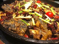 老板恋上鱼-老板恋上鱼(恒隆广场店)