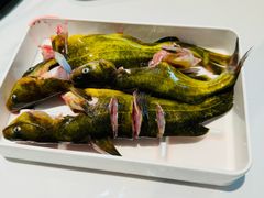 -江边渔家(龙舟文化园店)