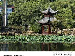 -忠山公园