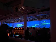 -CLUB VIVA(购物公园店)