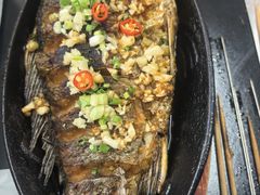 -老黑板筋(顺义总店)