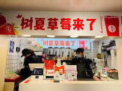 -树夏(建设路店)