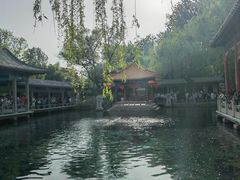 -趵突泉景区