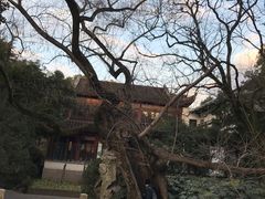 -汇龙潭