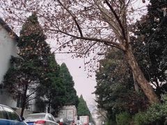 -济南轻骑摩托车有限公司(和平路)