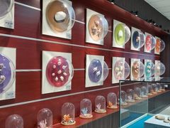 -青岛贝壳博物馆