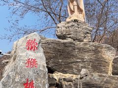 -大岭沟猕猴桃谷风景区