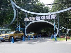 -枫花园汽车电影院(朝阳公园店)