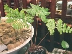 -九福楼大酒店