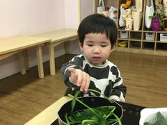 -123育儿园(百子湾校区)