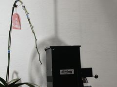 -Something For(中洲湾店)