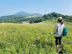 -白草畔自然风景区