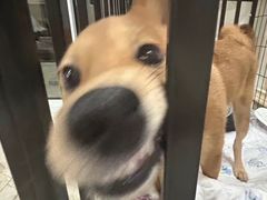 -春饼先生·北京烤鸭(甘井子万达店)