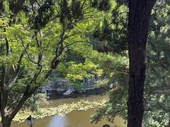 -叶家花园