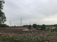 -上海杨姆庄园