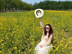 -天津武清北运河郊野公园房车露营地