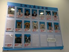 -Let's go狗咖·猫咖·奶狗·桌游(春熙路IFS店)
