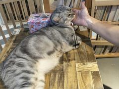 -小时光咖啡馆(开森度假森林店)