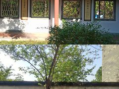 -广州神农草堂中医药博物馆