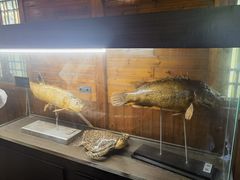 -南京金牛湖风景区