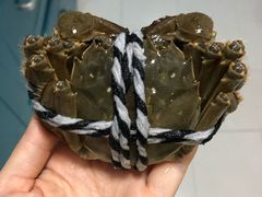 阳澄湖大闸蟹-丫丫蟹庄·苏式园林农家乐·阳澄湖大闸蟹(阳澄湖莲花岛店)