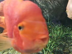 -福州罗源湾海洋世界旅游区