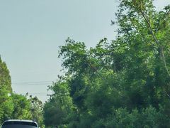 -汕尾风车岛