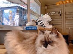 -灯塔咖啡馆BOOK·Coffee Shop