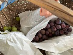 -马陆小张葡萄园农家乐