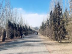 -乌素图国家森林公园